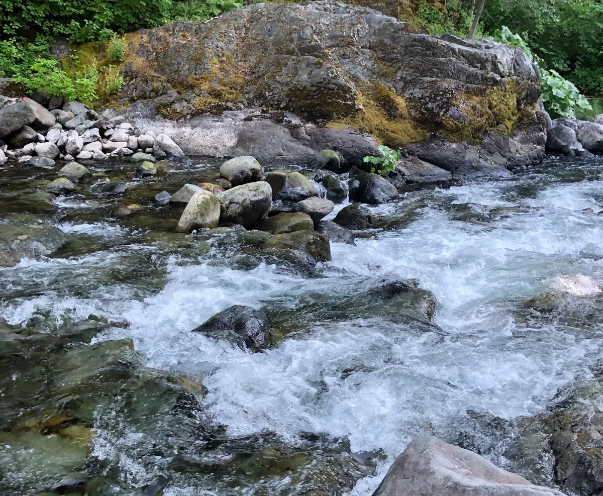 How to Become an Expert in Japanese Tenkara Tactics: Part One